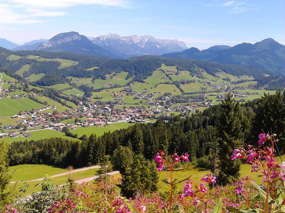 Apartament Sonnenalp Bergruhe Niederau Zewnętrze zdjęcie