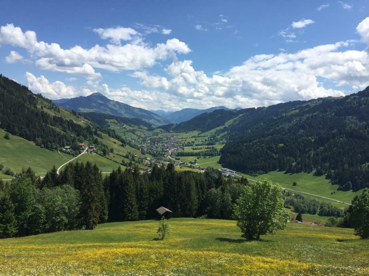 Apartament Sonnenalp Bergruhe Niederau Zewnętrze zdjęcie